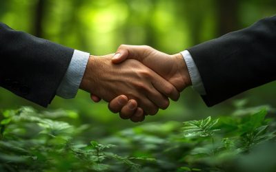 CRCF: Die Zukunft der freiwilligen Klimakompensation in der EU