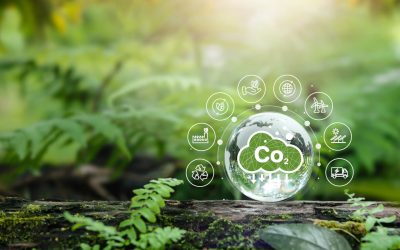 Klimaschutz ohne Doppelzählung: Mit eva-Zertifikaten zur CSRD-konformen CO₂-Kompensation