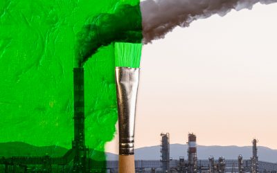 Grüne Worte, nichts dahinter?