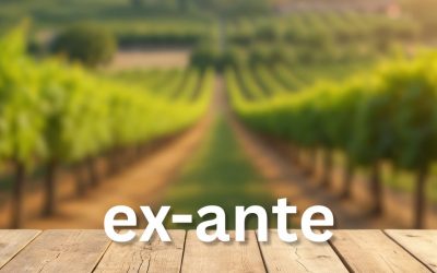 Ex-ante: Den unge vinen i din egen kjeller